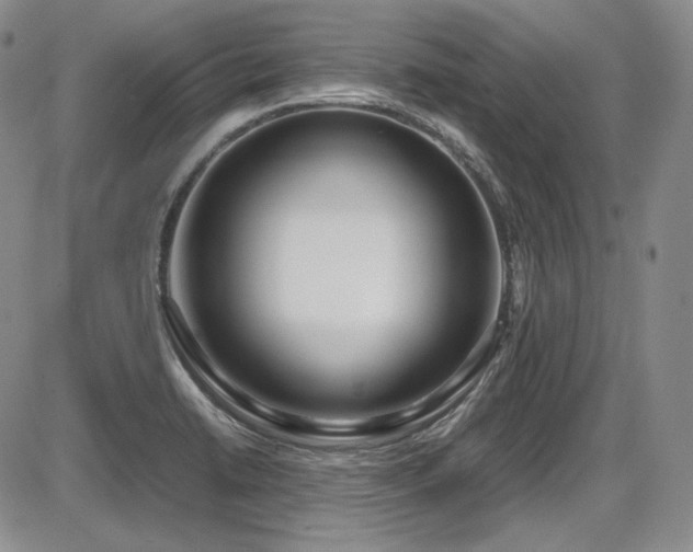 X0000086281422200703291449