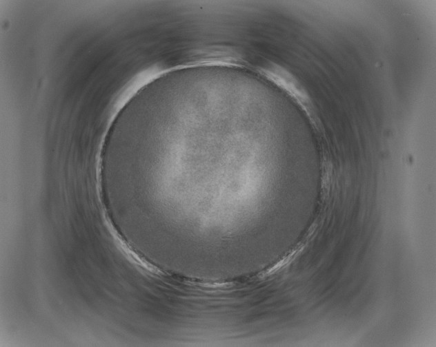 X0000086281423200703291450