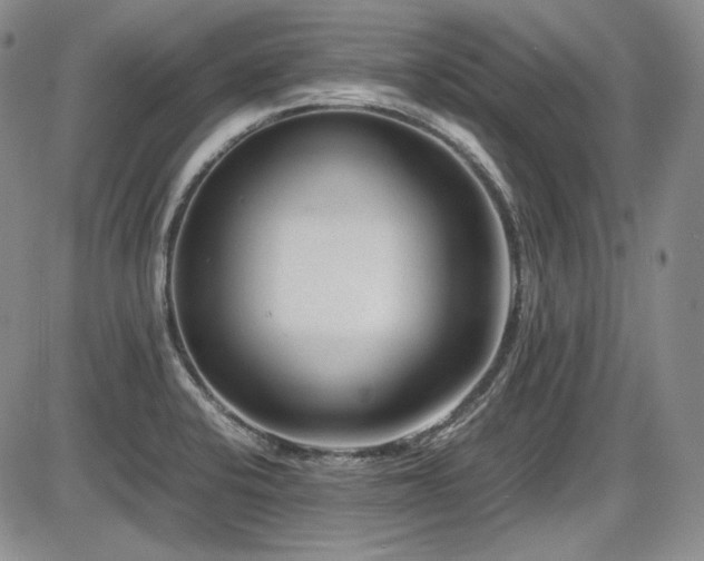 X0000086281424200703291450