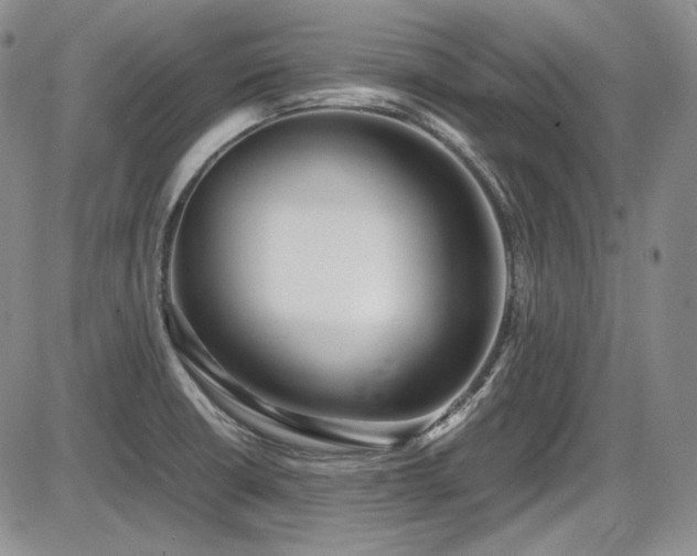 X0000086281426200703291450