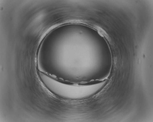 X0000086281428200703291450