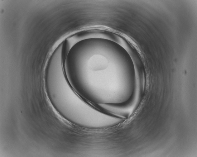 X0000086281430200703291450