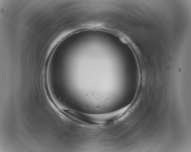 X0000086281432200703291450