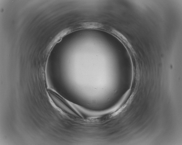 X0000086281433200703291450