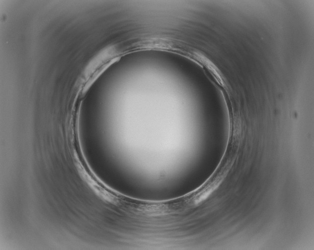 X0000086281434200703291450