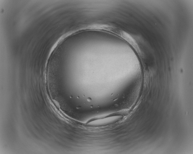 X0000086281436200703291450