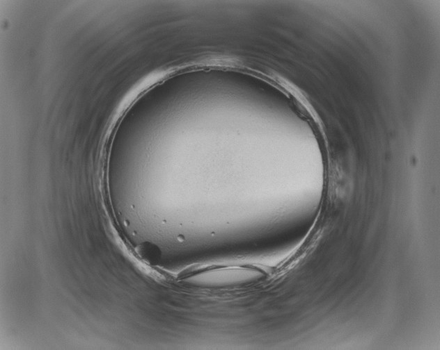 X0000086281437200703291450
