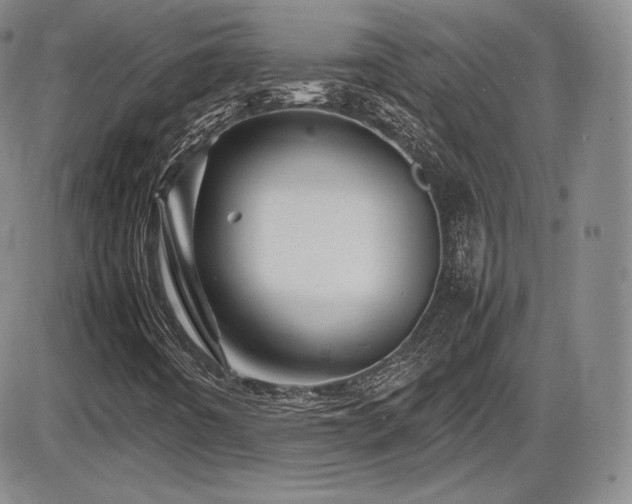 X0000086281442200703291449