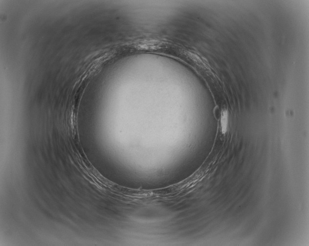 X0000086281444200703291449