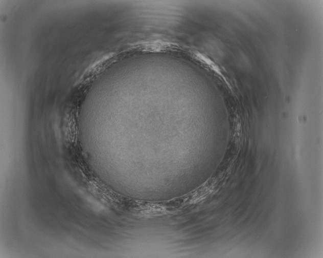 X0000086281446200703291449
