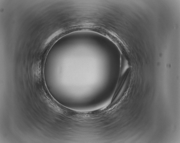 X0000086281450200703291449