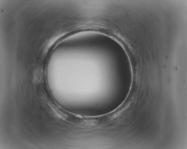 X0000086281453200703291449