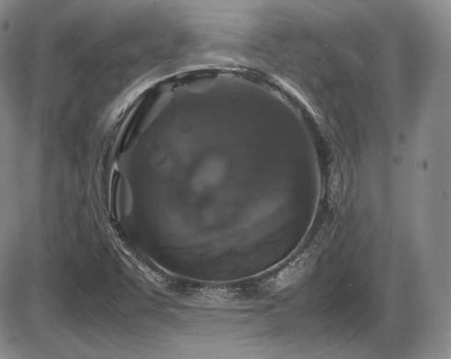 X0000086281455200703291449