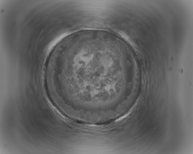 X0000086281463200703291449