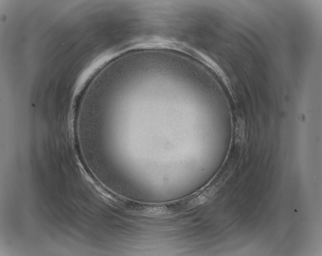 X0000086281464200703291449