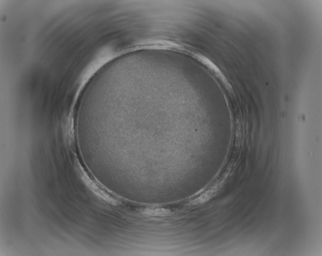 X0000086281466200703291449