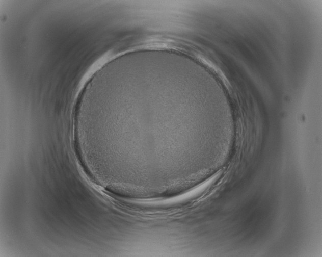X0000086281467200703291449