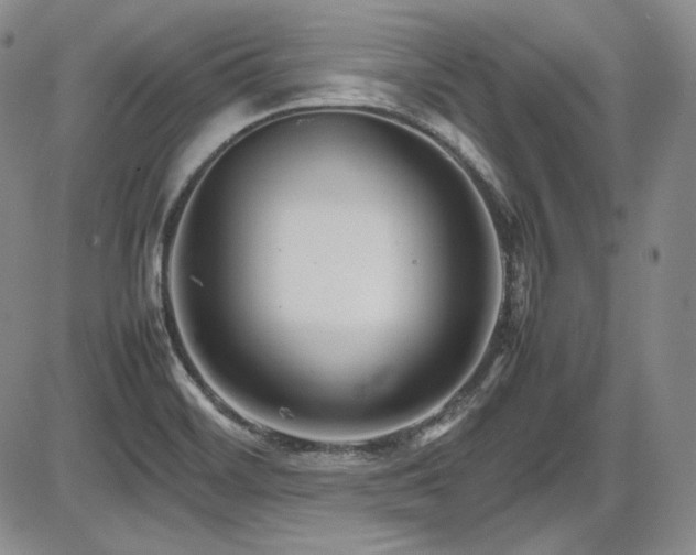 X0000086281468200703291449