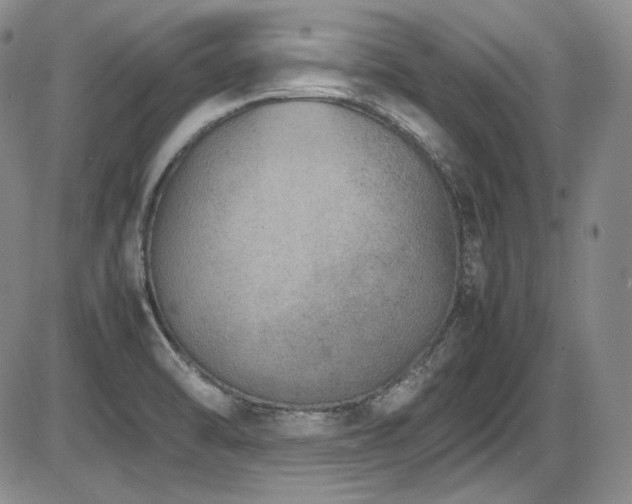 X0000086281470200703291449