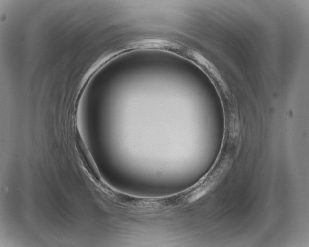 X0000086281473200703291448