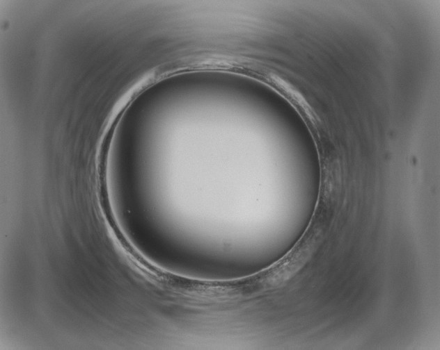 X0000086281475200703291448