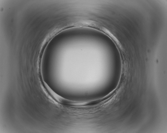 X0000086281477200703291448