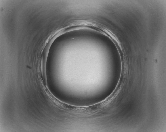 X0000086281481200703291448