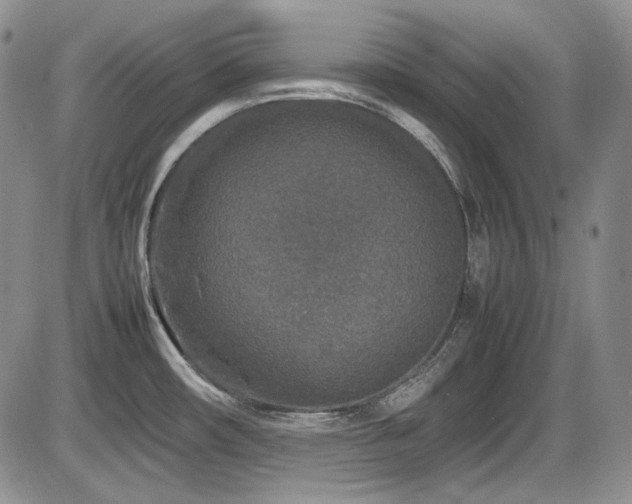 X0000086281482200703291448