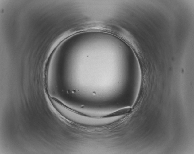 X0000086281483200703291448
