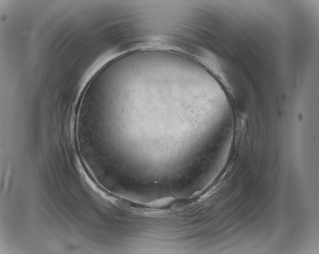 X0000086281484200703291448