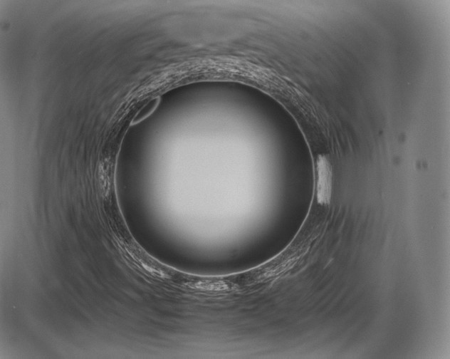 X0000086281491200703291447