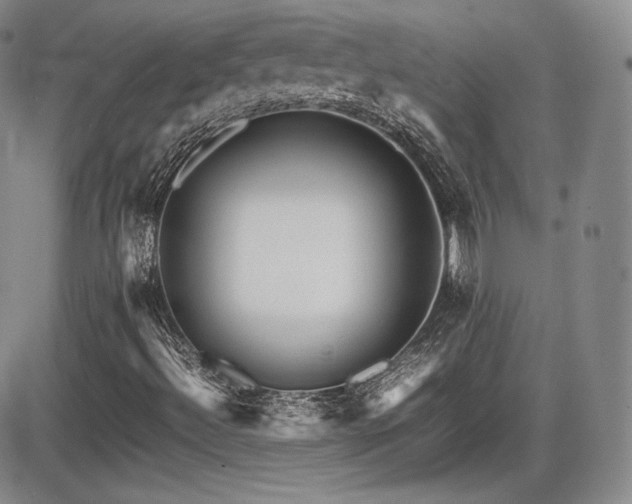 X0000086281492200703291447