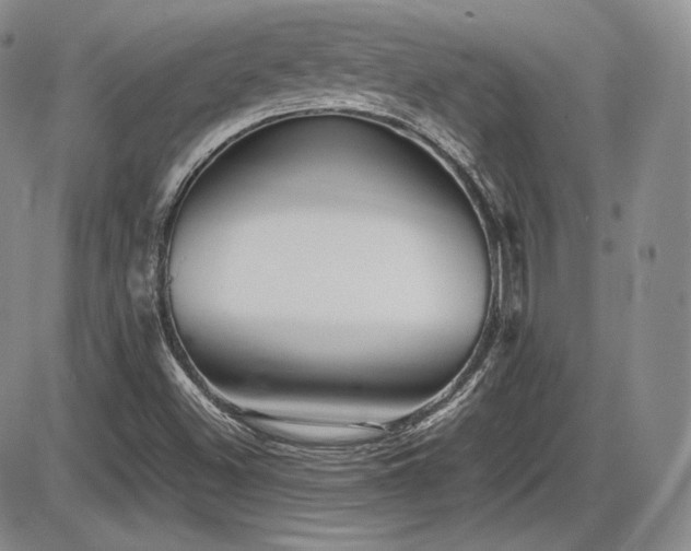 X0000086281500200703291448