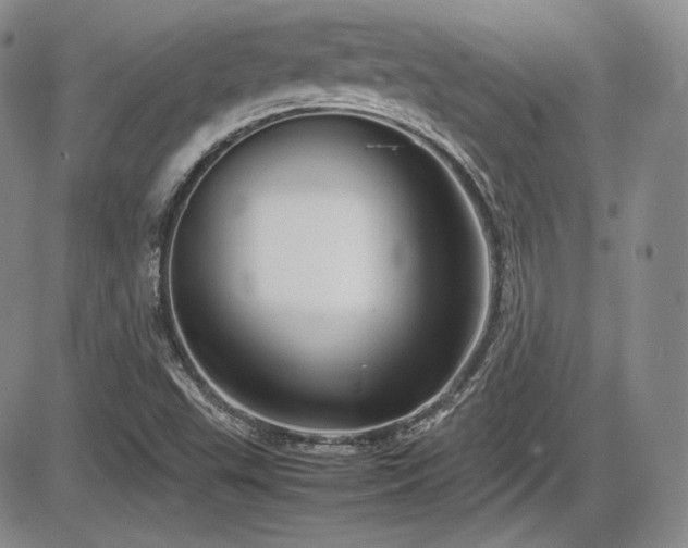 X0000086281503200703291448