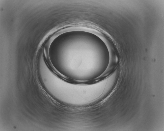 X0000086281506200703291448