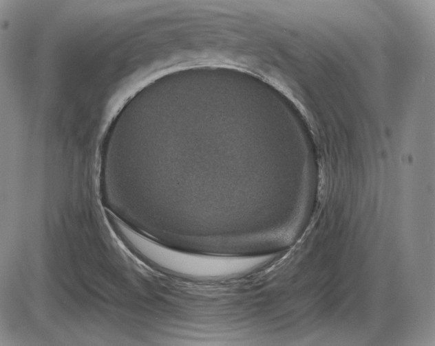 X0000086281508200703291448