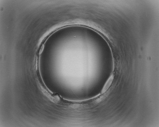 X0000086281510200703291448