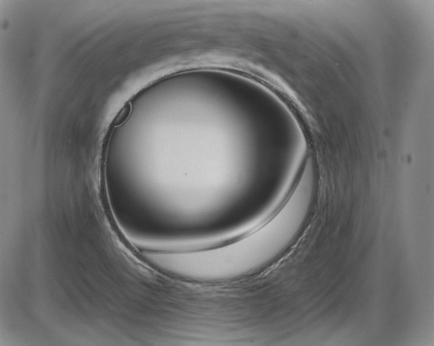 X0000086281512200703291448