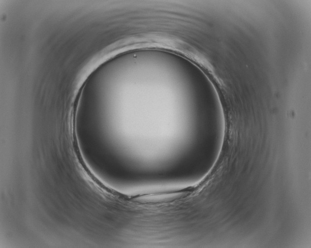 X0000086281516200703291448