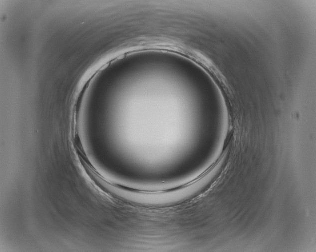 X0000086281520200703291448