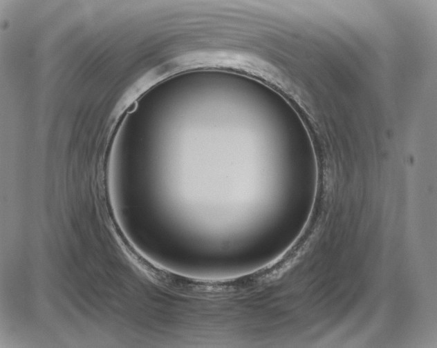 X0000086281521200703291448