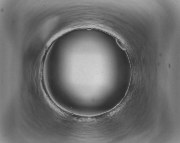 X0000086281526200703291448