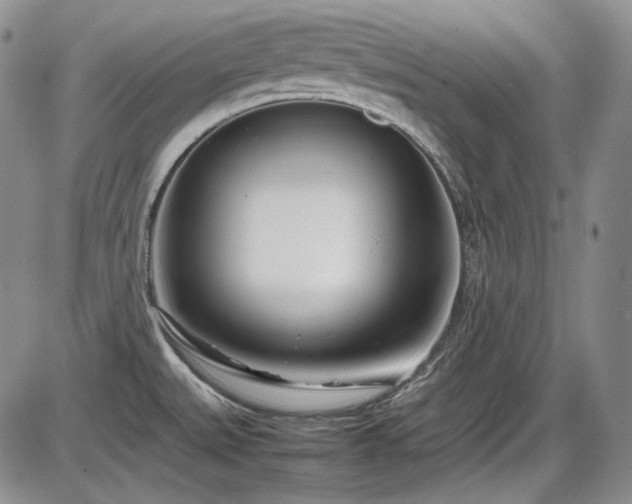 X0000086281527200703291448