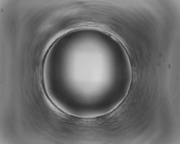 X0000086281531200703291448