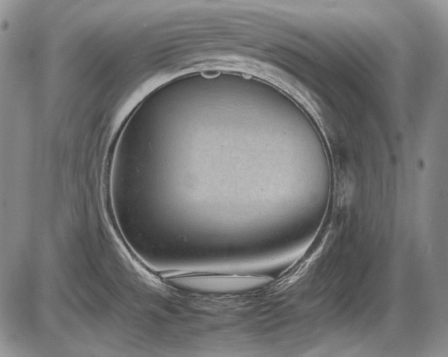 X0000086281533200703291448