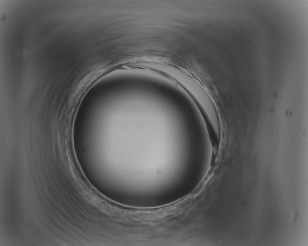 X0000086280001200704051347