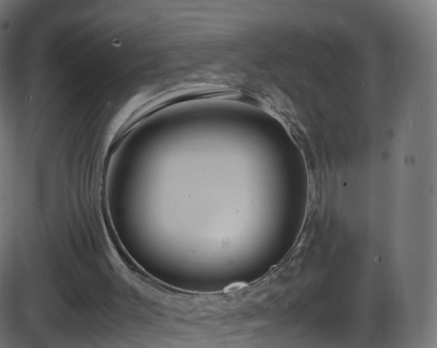 X0000086280003200704051347