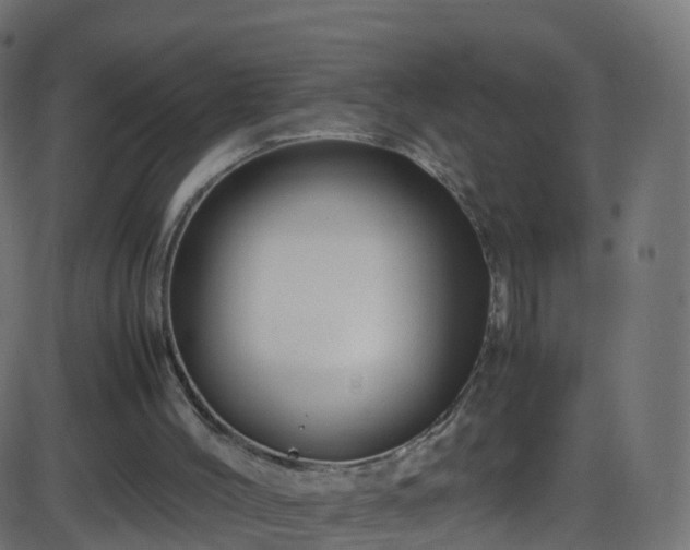 X0000086280004200704051347