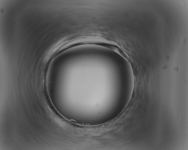 X0000086280005200704051347