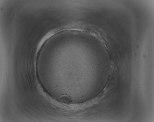 X0000086280006200704051347